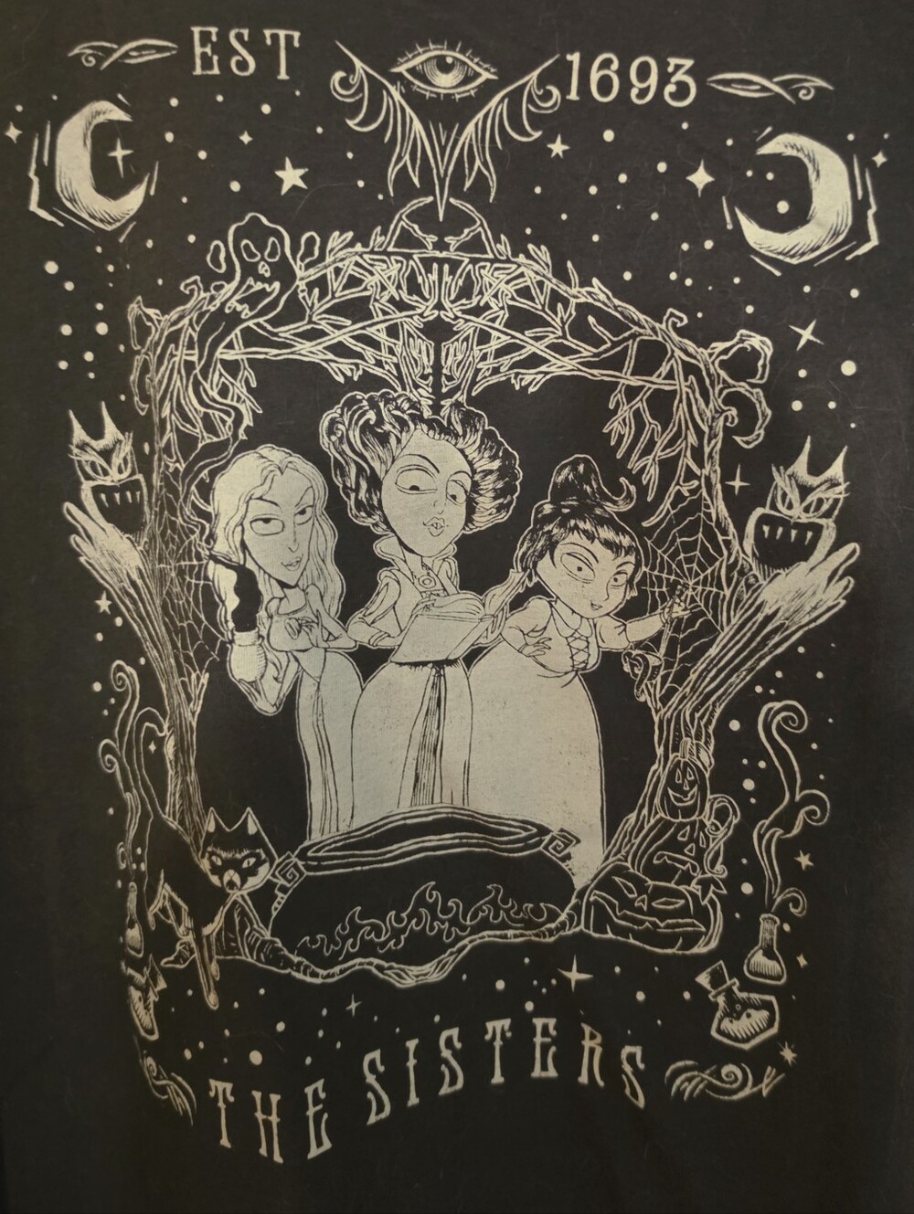 Disney HOCUS POCUS The Sanderson Sisters Gray Womens Graphic Shirt sz 2XL (NEW)